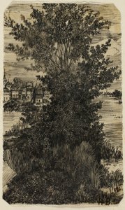 Shluk stromů s vesnicí v dálce od Rodolphe Bresdin