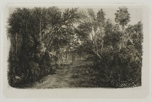 Potok od Rodolphe Bresdin