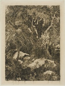 Les Fontainebleau od Rodolphe Bresdin