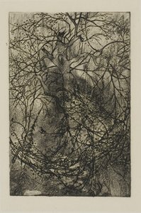 Tree Branches   1293847   cs       czech Successfully Translated  Original: Der Jurist und Schriftsteller Franz Theobald Freiherr von Rizy Translat: Der Jurist und Schriftsteller Franz Theobald Freiherr von Rizy 1343609 cs czech Successfully Translated Ori od Rodolphe Bresdin