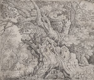 Sukovitý strom, ca. 1608-09.