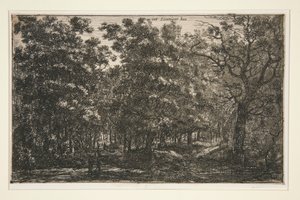 Int Seuniger Bos od Roelant Roghman