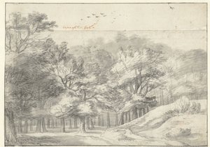 Pohled na Haagse Bos od Roelant Roghman
