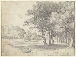 Pohled na Haagse Bos, s Grote Kerk, Haag, v dálce od Roelant Roghman
