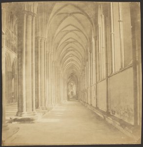 Jižní ulička katedrály v Salisbury od Roger Fenton