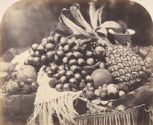 Zátiší s ovocem, 1860. od Roger Fenton