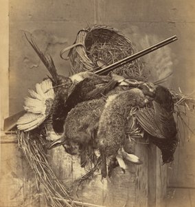 [Zátiší se zvěří a zbraní] od Roger Fenton
