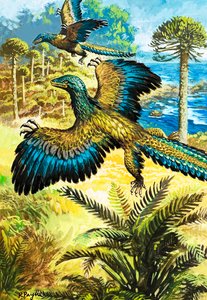 Archaeopreryx od Roger Payne