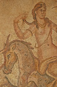 Nymfa z domu Jasona Magnuse (mozaika) od Roman
