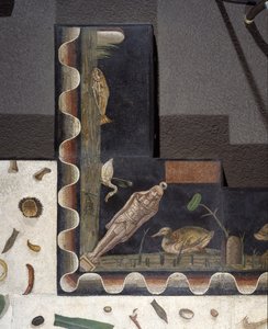 „Asarotos“ (podlaha nezametená) Fragmenty mozaiky podepsané Haraklitonem z Říma, 2. století našeho letopočtu, Řím od Roman