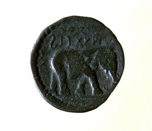 Kartágská mince představující slona. 3. nebo 2. století před naším letopočtem. od Roman