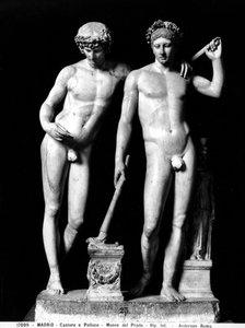 Castor a Pollux nebo Orestes a Pylades, skupina ze San Ildefonso (mramor) (černobílá fotografie) od Roman