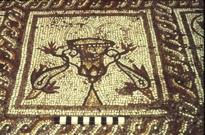 Delfíní mozaika, Insula XXVIII, budova 3, 2. století před naším letopočtem (mozaika) od Roman