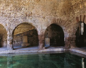 Frigidarium, Caldes de Montbui, Barcelona, ​​​​Španělsko, 2.-1. století před naším letopočtem (foto) od Roman