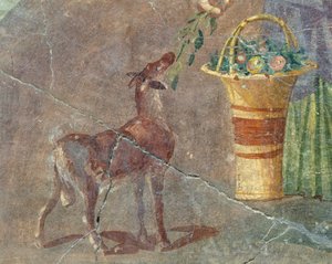 Koza a košík ovoce, freska z Pompejí, Kampánie, Itálie, římská civilizace od Roman