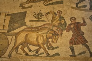 Sál Velkého lovu, podlahová mozaika s loveckou scénou, Villa Romana del Casale, Piazza Armerina, Sicílie, Itálie (foto) od Roman