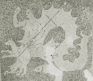 Helénistický oblázek Mozaika Scylly a Charybdy střežících úžinu, detail Scylly. Dům Dionysos, Paphos, Kypr mozaika od Roman