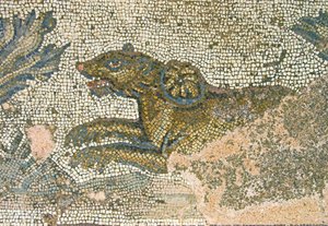 Lovecká scéna, detail lvice, Dionysův dům, Paphos, Kyperská mozaika od Roman