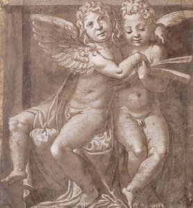 Dva sedící andělé zpívající, podle Polidoro da Caravaggio (pero a hnědý inkoust hnědá barva s bílou na šedomodrém papíře)