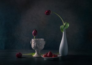 Melancholické tulipány a jahody