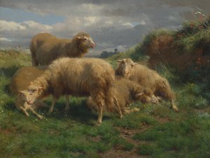 Krajina s ovcemi od Rosa Bonheur
