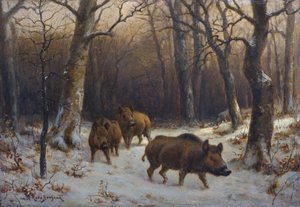 Francouzština:  Sangliers dans la neige Divočáci na sněhu od Rosa Bonheur