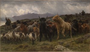  od Rosa Bonheur