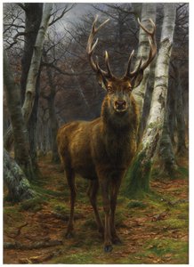 Král lesa, 1878