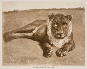  od Rosa Bonheur