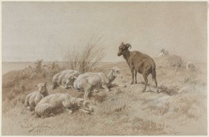 Ovce od Rosa Bonheur