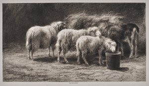  od Rosa Bonheur