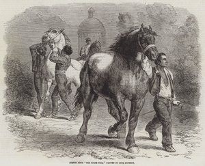 Skica z The Horse Fair od Rosa Bonheur