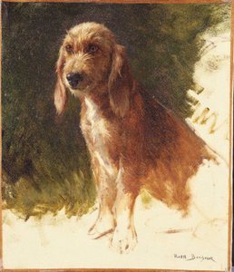  od Rosa Bonheur