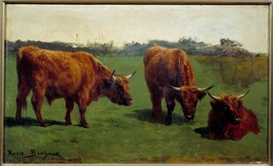 Tři studie červeného hovězího v pre. Obraz od Rosy Bonheur (1822-1899) od Rosa Bonheur
