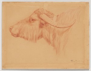 od Rosa Bonheur