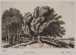 Krajina od Rosalie Holm