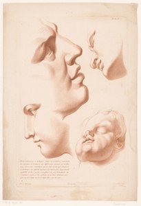 Hlavy muže, ženy a dítěte Principy kreslení z přírody, díl druhý (název série) IIe Cahier de Principes du Design d