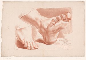Titulní obrázek se dvěma nohami Principy kreslení z přírody, díl pátý (název série) Ve Cahier de Principes du Design d