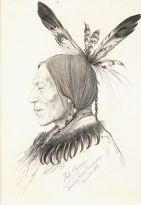 Heu-Topa, Čtyři rohy nebo Jagoo, Vypravěč, náčelník Hunkpapa Sioux od Rudolf Cronau