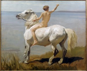 Chlapec na bílém koni