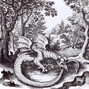 Drak v lese, z „Musaeum Hermeticum Reformatum“ od Basila Valentina, 1678 od Russian School