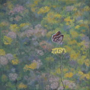 Brown Argus (po fotografii Sara Crow) od Ruth Addinall
