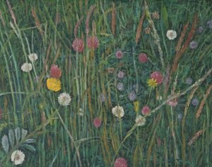 Rostliny Machair, 2008 od Ruth Addinall