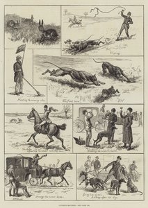 Coursing-Matches (rytina) od S.T. (after) Dadd