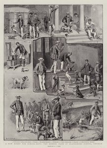 New Hobby for School-Boys, Kennel Club v Clayesmore School, Enfield