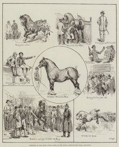 Náčrtky na Shire Horse Show, v Royal Agricultural Hall, Islington