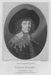 Prince Rupert (rytina) od S. (after) Harding