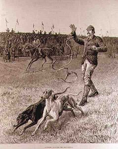 Coursing: Slipping the Greyhounds, z 