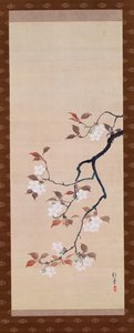 Závěsný svitek zobrazující třešňové květy, z Triptychu tří ročních období, japonština, počátek 19. století