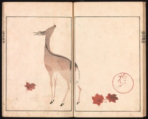  od Sakai Hoitsu